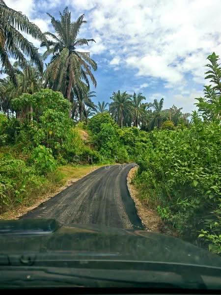 Agricultural Land for Sale in Sungai Siput (Perak) - Cherie Chong - PropertyGuru.com.my