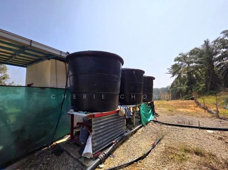 Agricultural Land for Sale in Sungai Siput (Perak) - Cherie Chong - PropertyGuru.com.my