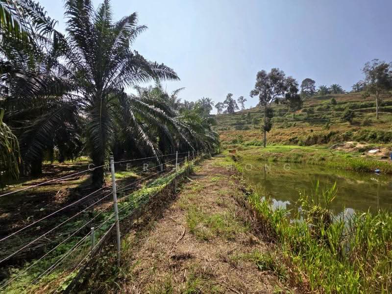Agricultural Land for Sale in Sungai Siput (Perak) - Cherie Chong - PropertyGuru.com.my