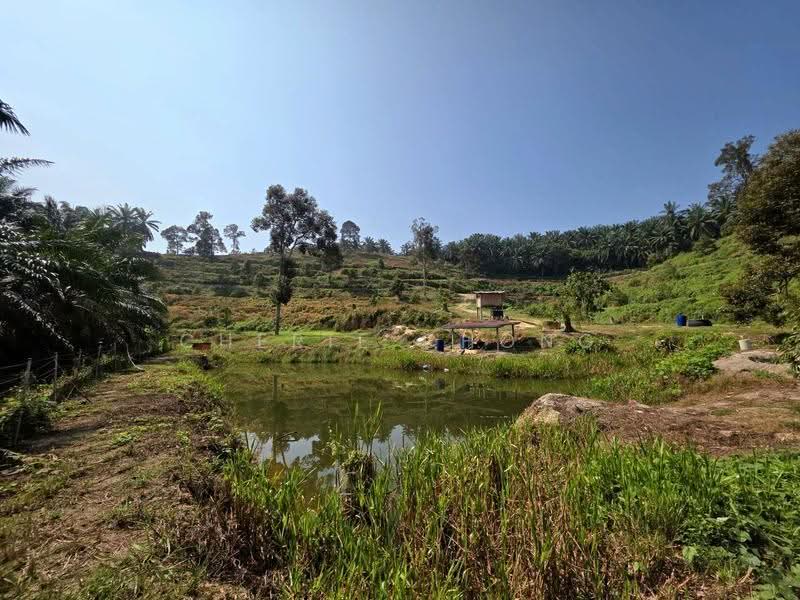 Agricultural Land for Sale in Sungai Siput (Perak) - Cherie Chong - PropertyGuru.com.my
