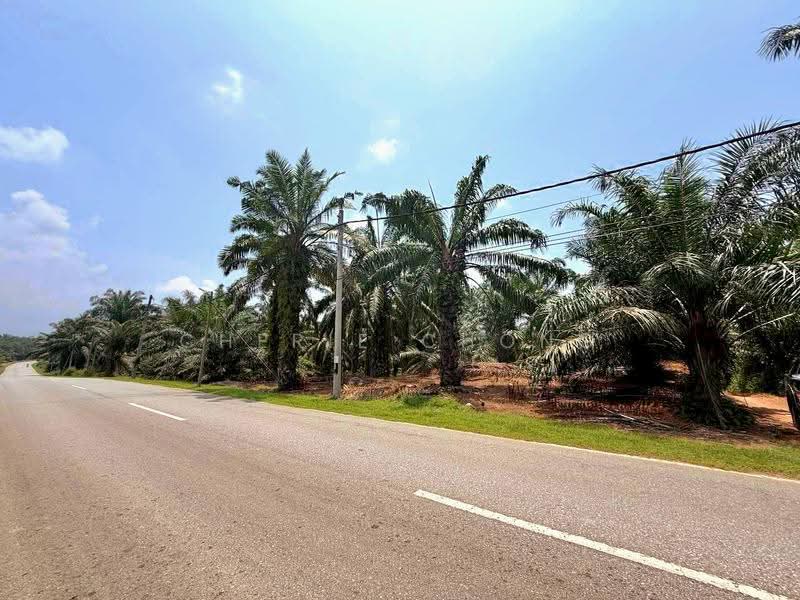 Agricultural Land for Sale in Jalong Tinggi (Sungai Siput) - Cherie Chong - PropertyGuru.com.my