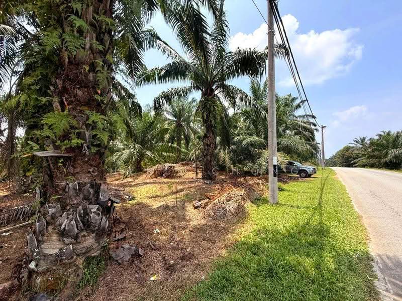 Agricultural Land for Sale in Jalong Tinggi (Sungai Siput) - Cherie Chong - PropertyGuru.com.my