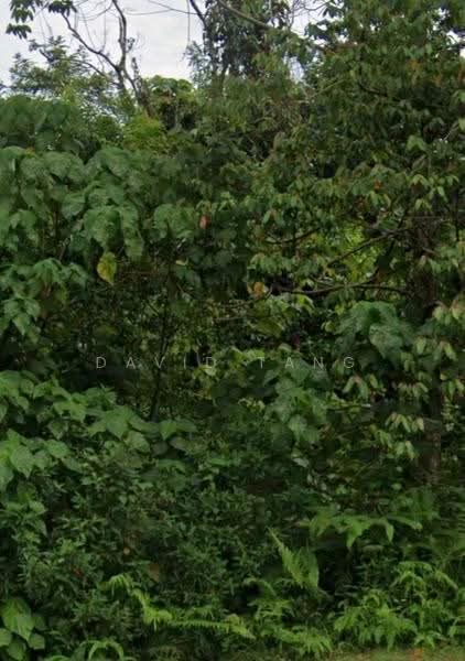 Industrial Land for Sale in Tanjung Malim (Perak) - David Tang - Exterior - PropertyGuru.com.my