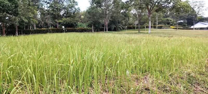 Residential Land for Sale in Leisure Farm (Gelang Patah) - Jason Chua - Exterior - PropertyGuru.com.my
