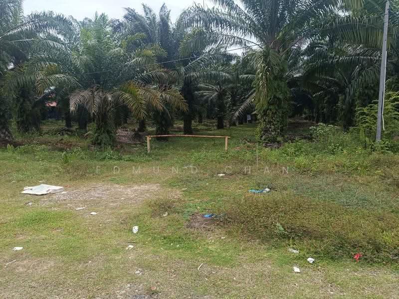 Tanah Pertanian untuk Dijual di Dengkil (Selangor) - Edmund Chan - Exterior - PropertyGuru.com.my