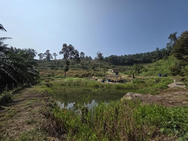 Agricultural Land for Sale in Sungai Siput (Perak) - Gary Tang - Exterior - PropertyGuru.com.my