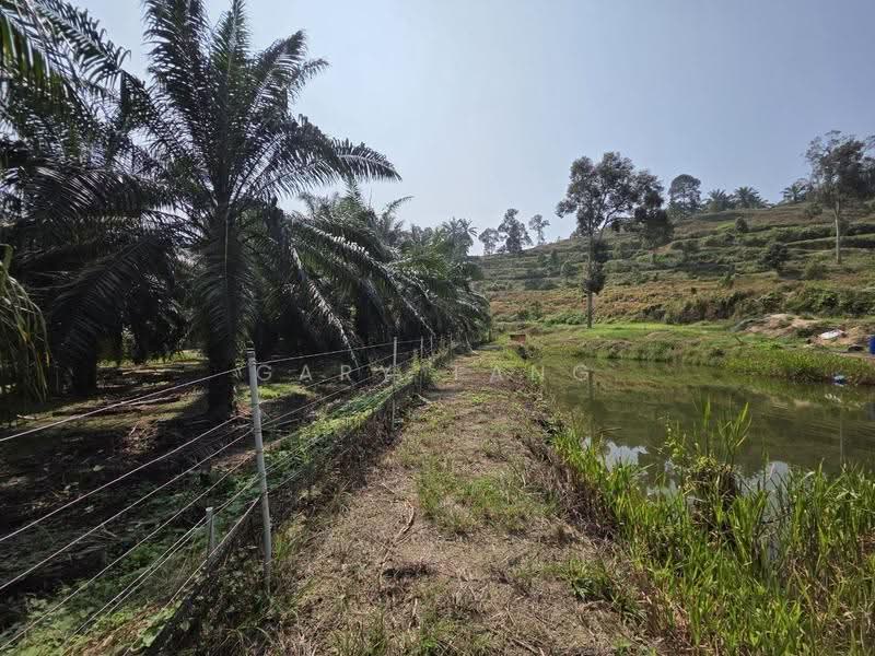 Agricultural Land for Sale in Sungai Siput (Perak) - Gary Tang - Exterior - PropertyGuru.com.my