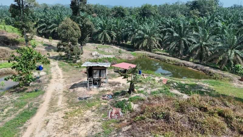 Agricultural Land for Sale in Sungai Siput (Perak) - Gary Tang - Exterior - PropertyGuru.com.my