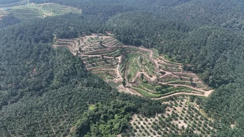 Agricultural Land for Sale in Sungai Siput (Perak) - Gary Tang - PropertyGuru.com.my