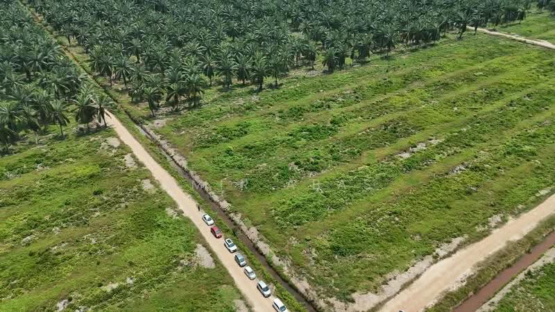 Tanah Perindustrian untuk Dijual di Pulau Carey (Selangor) - Amir Abas - Exterior - PropertyGuru.com.my