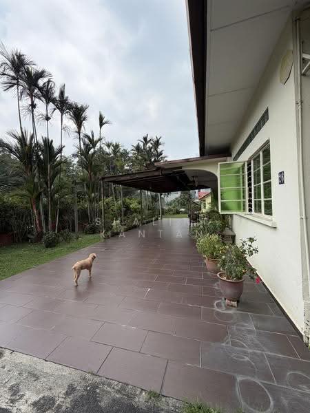 Bungalow House untuk Dijual di Lorong Travers (Kuala Lumpur) - Shalini Kantan - PropertyGuru.com.my