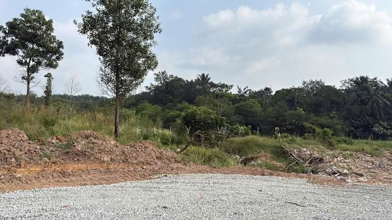Tanah Pertanian untuk Dijual di Sungai Tiram (Ulu Tiram) - Kelly Wai - Exterior - PropertyGuru.com.my