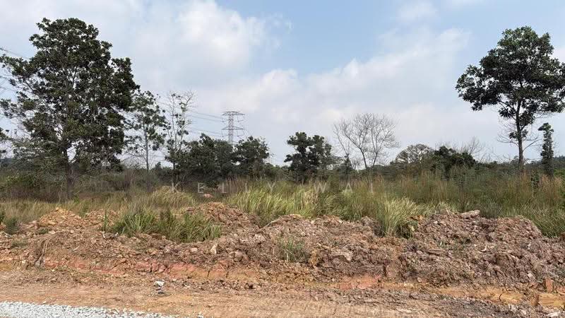 Tanah Pertanian untuk Dijual di Sungai Tiram (Ulu Tiram) - Kelly Wai - Exterior - PropertyGuru.com.my
