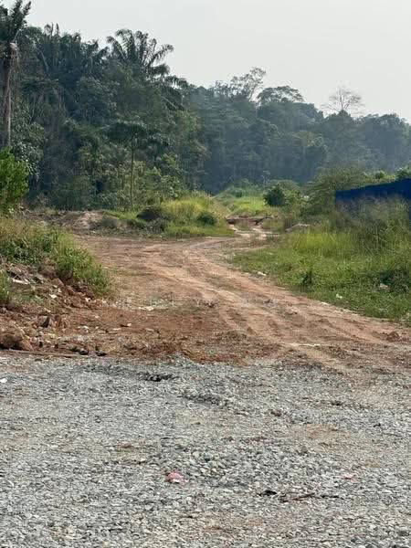 Tanah Pertanian untuk Dijual di Sungai Tiram (Ulu Tiram) - Kelly Wai - Exterior - PropertyGuru.com.my