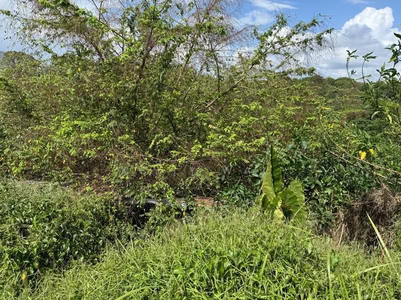 Tanah Pertanian untuk Dijual di Ulu Tiram (Johor) - Kelly Wai - Exterior - PropertyGuru.com.my