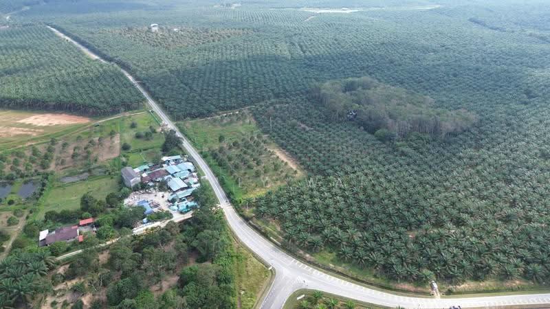 Tanah Pertanian untuk Dijual di Kota Tinggi (Johor) - Kelly Wai - Exterior - PropertyGuru.com.my