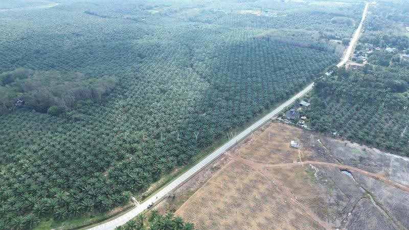 Tanah Pertanian untuk Dijual di Kota Tinggi (Johor) - Kelly Wai - Exterior - PropertyGuru.com.my
