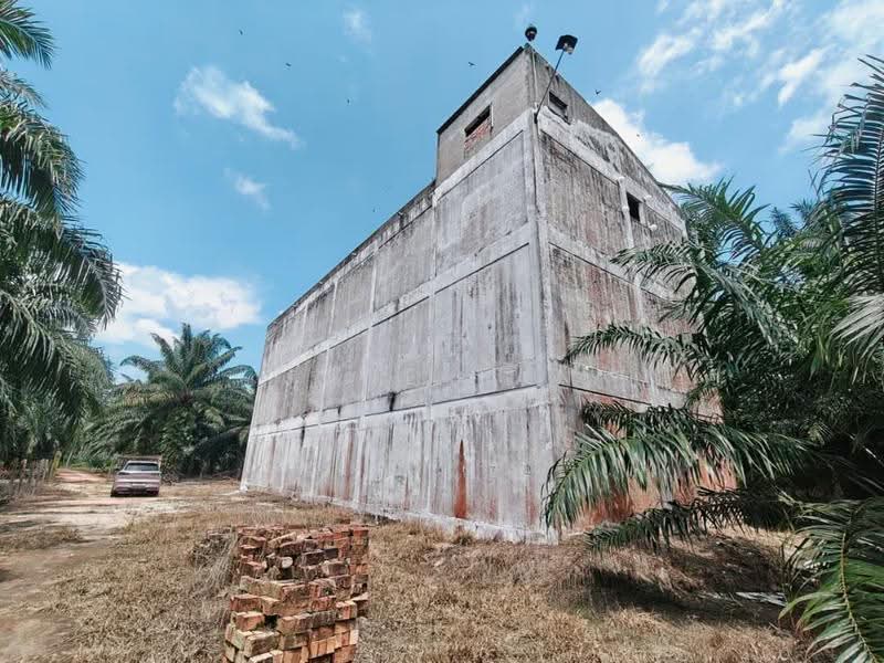Tanah Pertanian untuk Dijual di Kukup (Johor) - June Tan - PropertyGuru.com.my