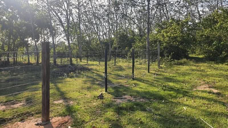 Agricultural Land for Sale in Rantau (Negeri Sembilan) - Alvin Seah - Exterior - PropertyGuru.com.my
