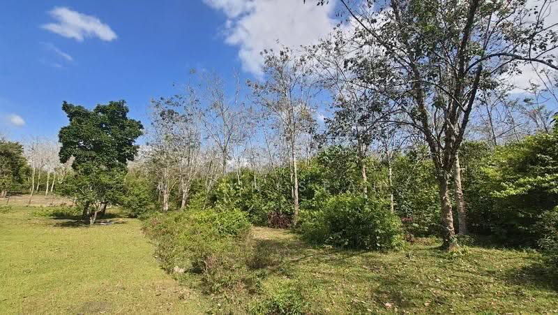 Agricultural Land for Sale in Rantau (Negeri Sembilan) - Alvin Seah - Exterior - PropertyGuru.com.my