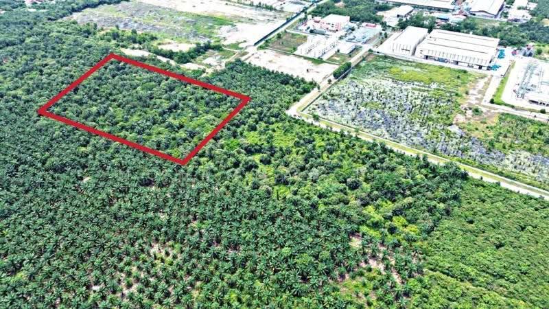 Tanah Perindustrian untuk Dijual di Kampung Bukit Changgang (Tanjong Duabelas) - Mohammad Din Majid - PropertyGuru.com.my