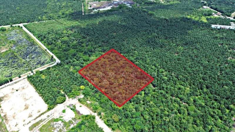 Tanah Perindustrian untuk Dijual di Kampung Bukit Changgang (Tanjong Duabelas) - Mohammad Din Majid - PropertyGuru.com.my