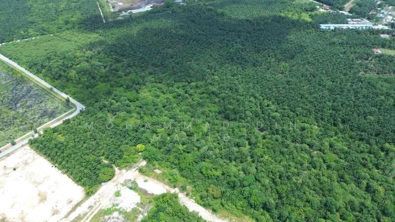 Tanah Perindustrian untuk Dijual di Kampung Bukit Changgang (Tanjong Duabelas) - Mohammad Din Majid - PropertyGuru.com.my