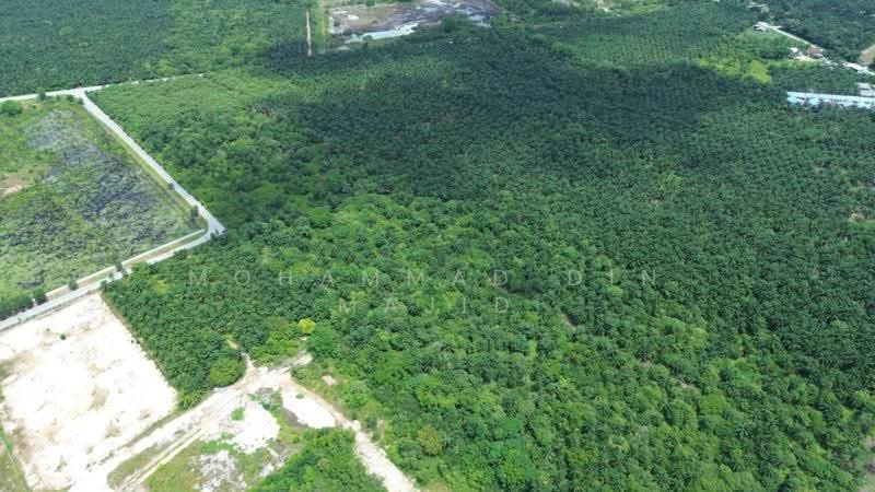 Tanah Perindustrian untuk Dijual di Kampung Bukit Changgang (Tanjong Duabelas) - Mohammad Din Majid - PropertyGuru.com.my