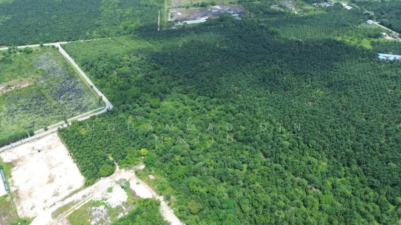 Tanah Perindustrian untuk Dijual di Kampung Bukit Changgang (Tanjong Duabelas) - Mohammad Din Majid - PropertyGuru.com.my