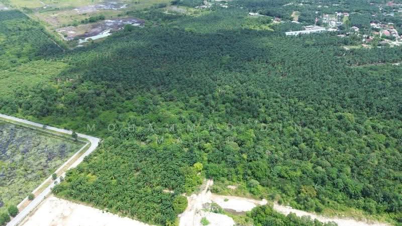 Tanah Perindustrian untuk Dijual di Kampung Bukit Changgang (Tanjong Duabelas) - Mohammad Din Majid - PropertyGuru.com.my