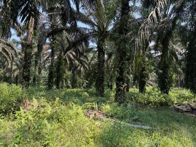 Tanah Pertanian untuk Dijual di Kulai (Johor) - Kelly Wai - Exterior - PropertyGuru.com.my