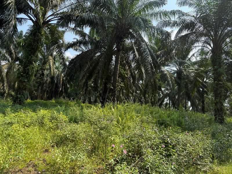 Tanah Pertanian untuk Dijual di Kulai (Johor) - Kelly Wai - Exterior - PropertyGuru.com.my