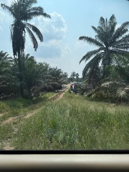 Tanah Pertanian untuk Dijual di Kulai (Johor) - Kelly Wai - Exterior - PropertyGuru.com.my