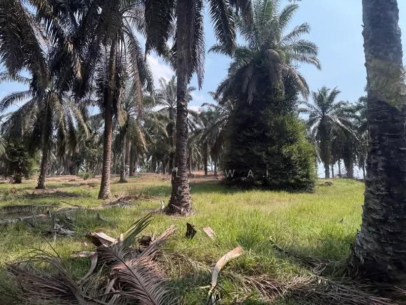 Tanah Pertanian untuk Dijual di Kulai (Johor) - Kelly Wai - Garden - PropertyGuru.com.my