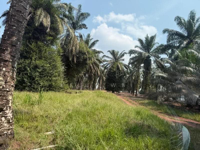 Tanah Pertanian untuk Dijual di Kulai (Johor) - Kelly Wai - Exterior - PropertyGuru.com.my