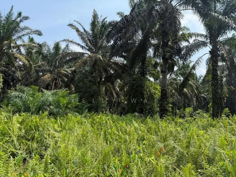 Tanah Pertanian untuk Dijual di Kulai (Johor) - Kelly Wai - PropertyGuru.com.my
