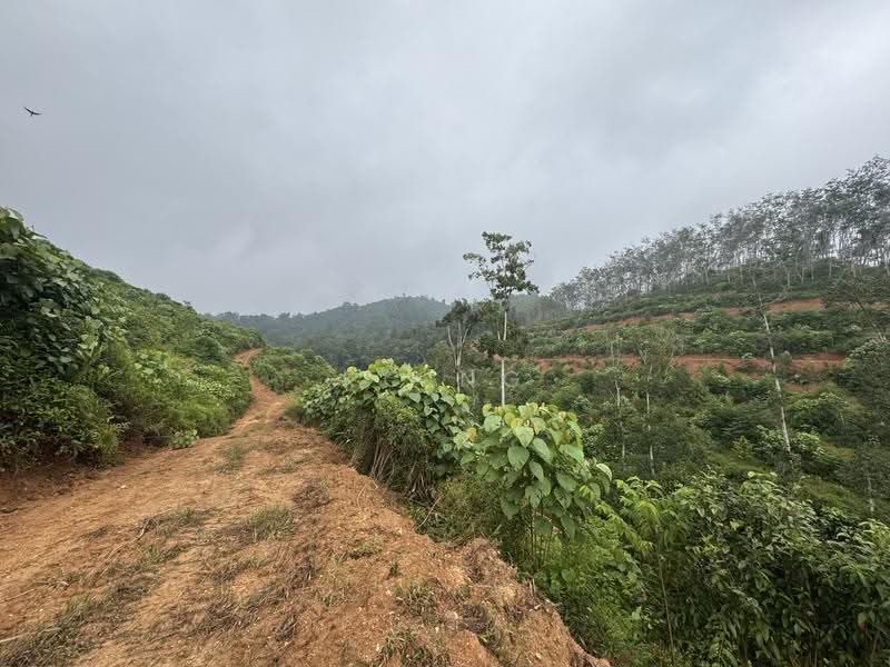 Agricultural Land for Sale in Bandar Gerik (Gerik) - KC Ng - Exterior - PropertyGuru.com.my