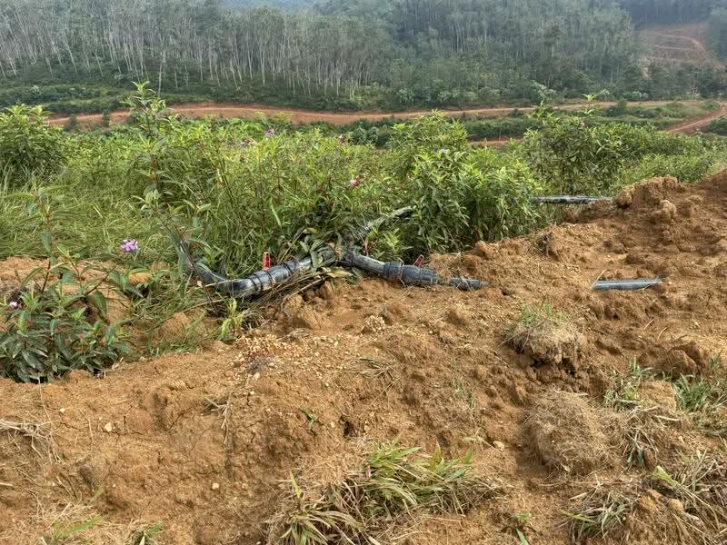 Agricultural Land for Sale in Bandar Gerik (Gerik) - KC Ng - Exterior - PropertyGuru.com.my
