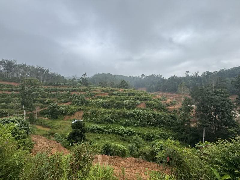 Agricultural Land for Sale in Bandar Gerik (Gerik) - KC Ng - Exterior - PropertyGuru.com.my
