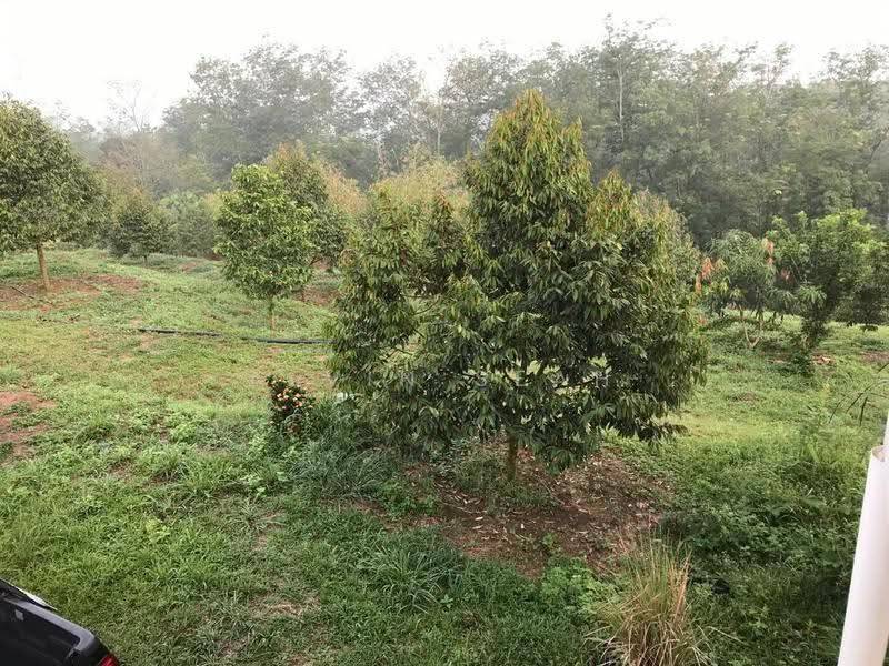 Agricultural Land for Sale in Kerling (Selangor) - Alvin Seah - Garden - PropertyGuru.com.my