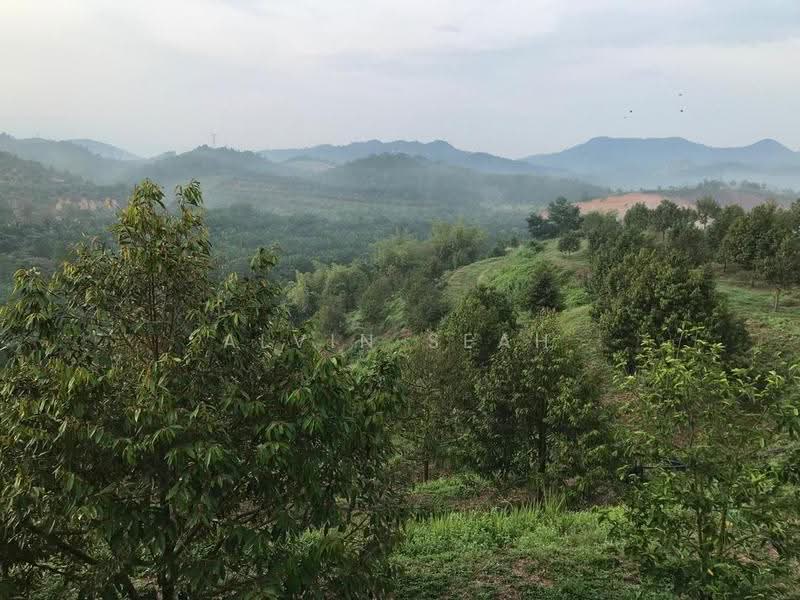 Agricultural Land for Sale in Kerling (Selangor) - Alvin Seah - Exterior - PropertyGuru.com.my