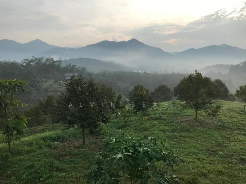 Agricultural Land for Sale in Kerling (Selangor) - Alvin Seah - Exterior - PropertyGuru.com.my