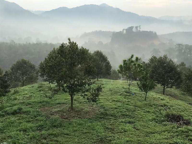 Agricultural Land for Sale in Kerling (Selangor) - Alvin Seah - Exterior - PropertyGuru.com.my