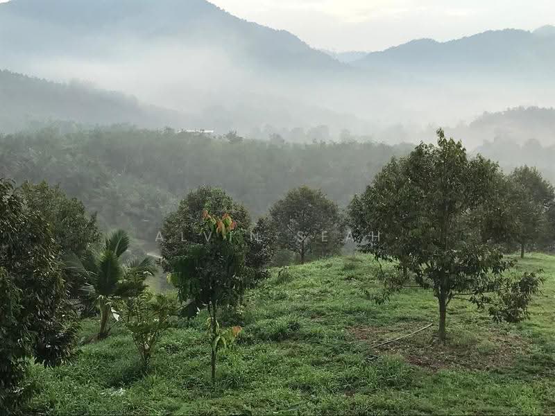 Agricultural Land for Sale in Kerling (Selangor) - Alvin Seah - Exterior - PropertyGuru.com.my