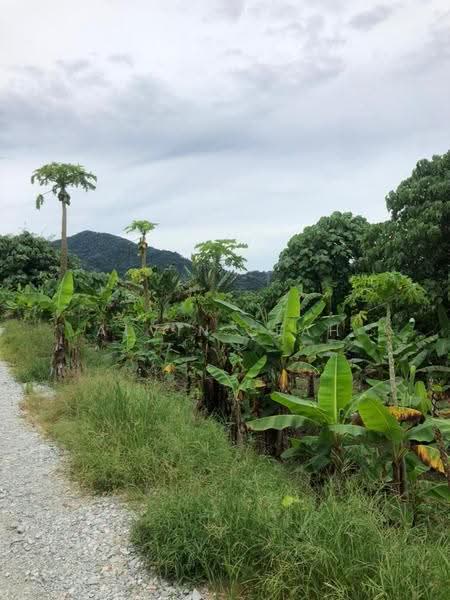 Agricultural Land for Sale in Kerling (Selangor) - Alvin Seah - Exterior - PropertyGuru.com.my