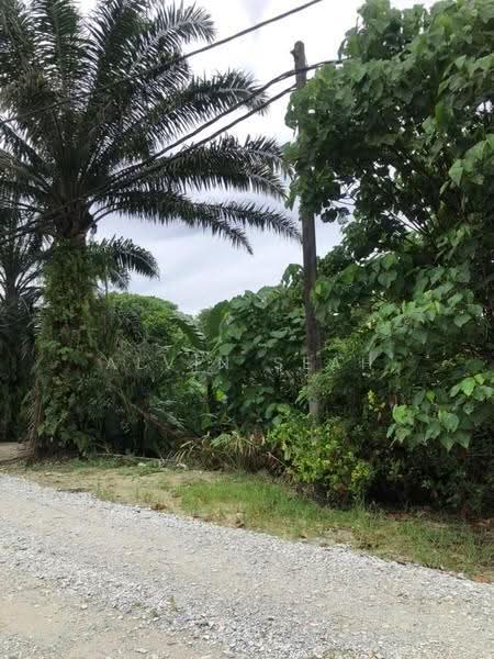 Agricultural Land for Sale in Kerling (Selangor) - Alvin Seah - Exterior - PropertyGuru.com.my