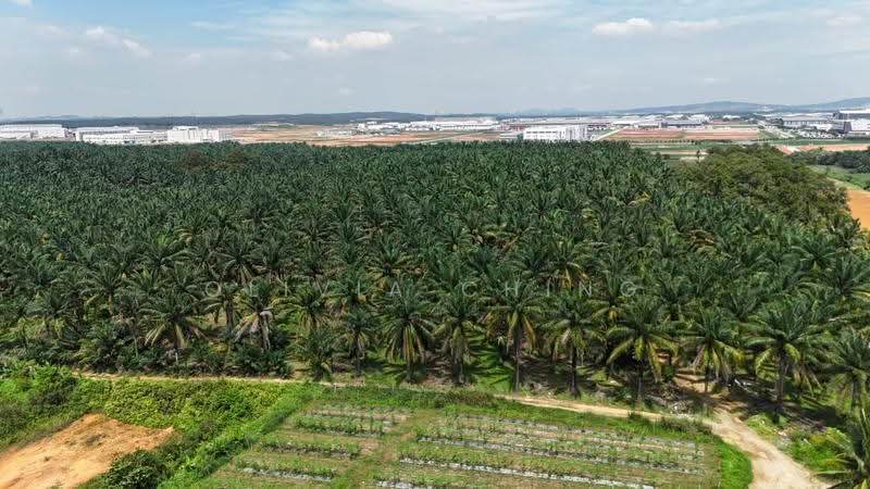 Tanah Pertanian untuk Dijual di Senai (Johor) - Olivia Ching - Exterior - PropertyGuru.com.my