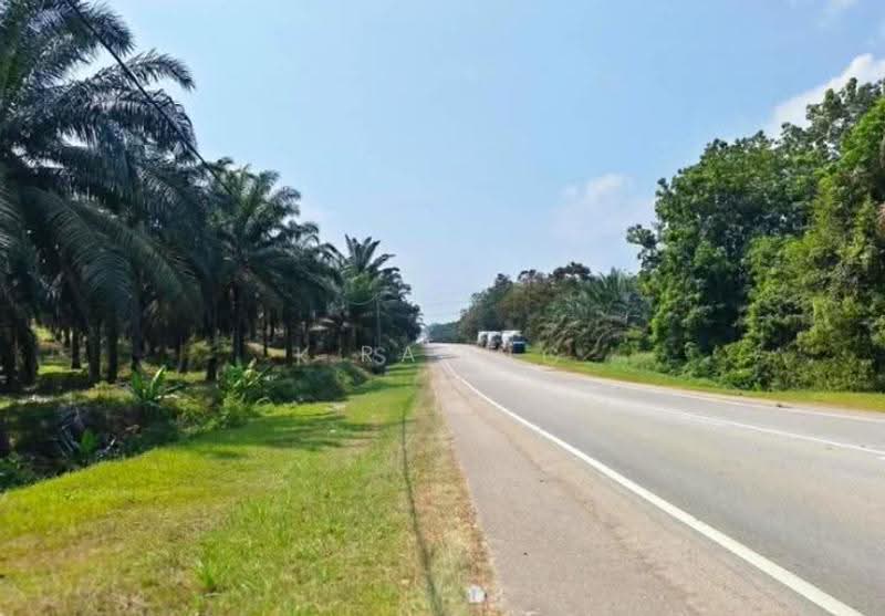 Agricultural Land for Rent in Bagan Serai (Perak) - Race Phua - Exterior - PropertyGuru.com.my