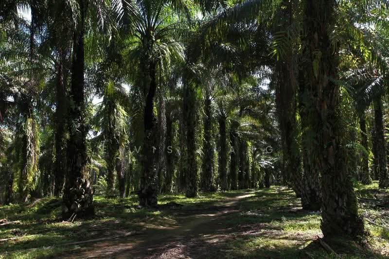 Commercial Land for Sale in Sepang (Selangor) - Elvis Liang - Exterior - PropertyGuru.com.my