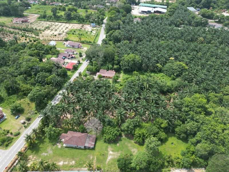 Agricultural Land for Sale in Masjid Tanah (Melaka) - Mohd Faizal - Exterior - PropertyGuru.com.my